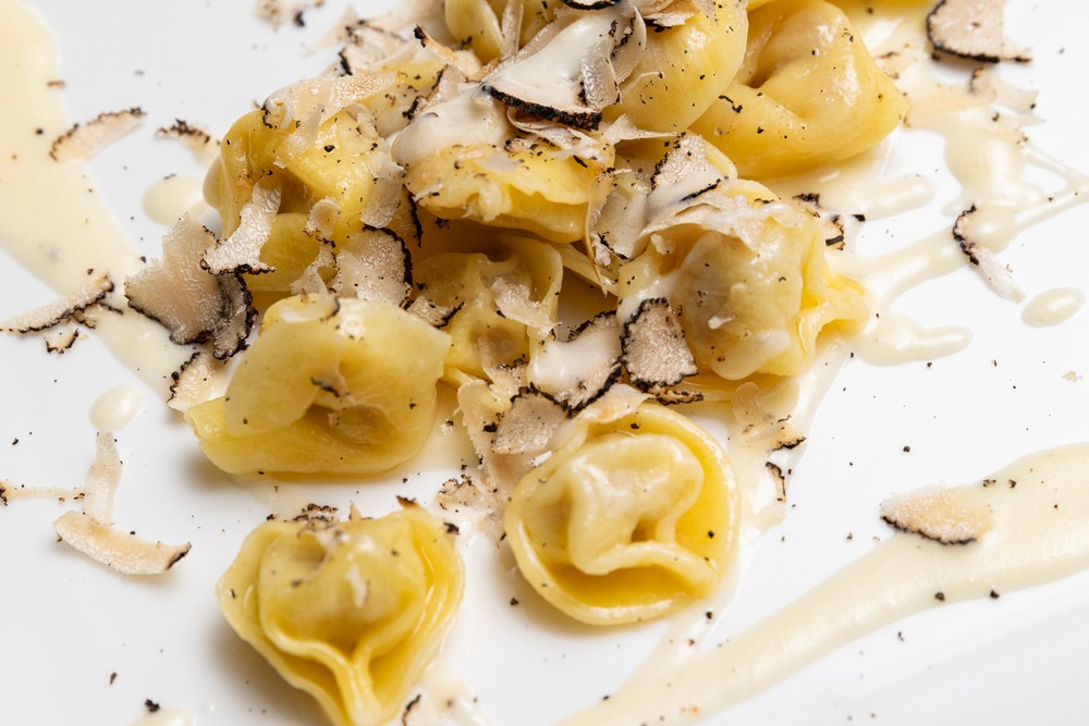 XENIA S.A.S. di Pasotti Edoardo e C | Taste